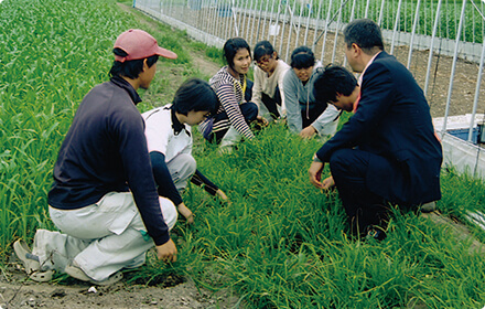 研修生たちに日本の農業技術を指導